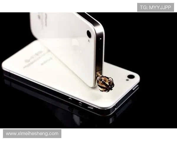 皇冠手机端全站登录与电脑端登录的区别及各自优势