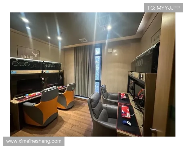 新濠锋娱乐场所怎么样提供的游戏种类与玩法丰富程度