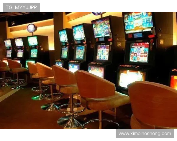 新濠国际娱乐最新注册流程与优惠政策全方位指导帮助新手快速上手