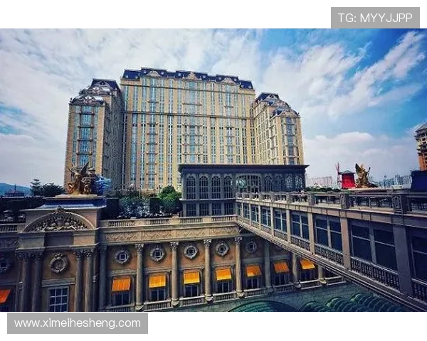 澳门巴黎人交通出行：公共交通、打车及自驾到达澳门巴黎人详细指南